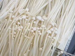 -郭记烤肉创始店(民丰大街店)