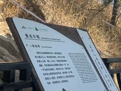 -石老人观光园