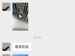 -睿金宠物医院·CT·肿瘤·骨外科