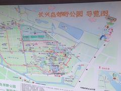 -上海长兴岛郊野公园