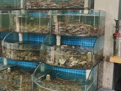 -仙螺岛海鲜自助餐厅(总店)