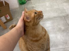 -JOJO实景沉浸侦探剧本杀(大悦城店)