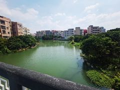 -小洲村