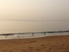 -金梦海湾浴场