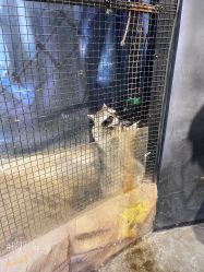 -酷嗒动物文化乐园(cutezoo西溪乐天城店)