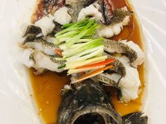 东星斑-万宝海鲜舫(劳动公园店)