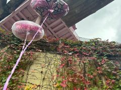 -安吉Hello Kitty乐园