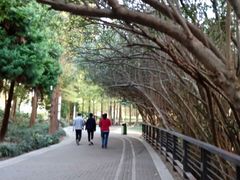 -苏州河梦清园环保主题公园