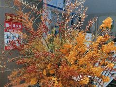 -顺峰(农展馆店)
