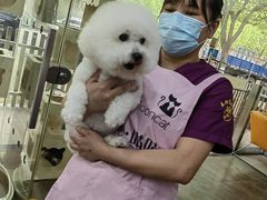 -暖阳宠物医院·犬猫康复中心·骨科