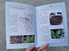 -上海昆虫博物馆