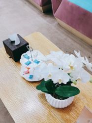-Yestar艺星医疗美容医院