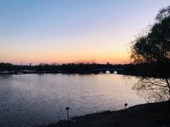 -大兴滨河森林公园