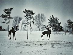 -长春世界雕塑园冰雪艺术天地