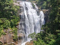 -海南热带雨林国家公园吊罗山景区