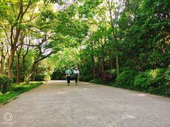 -长广溪湿地公园