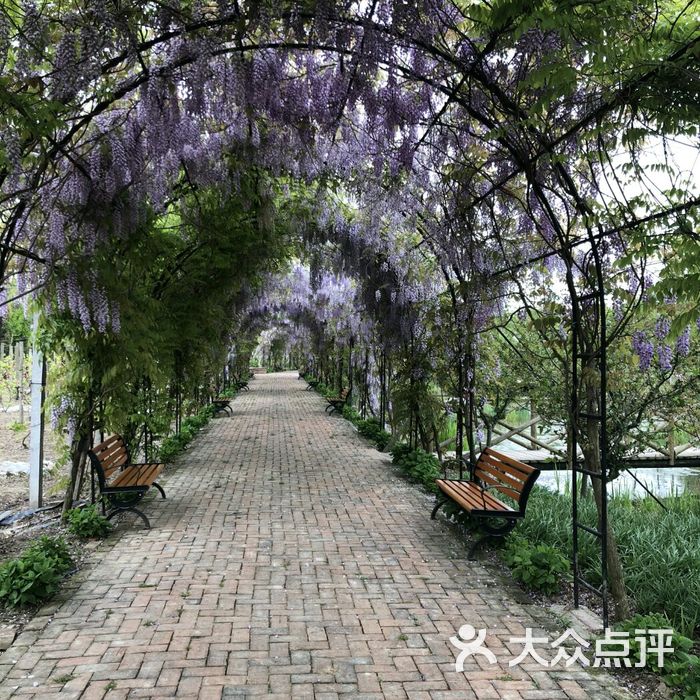 西岸氧吧农家乐