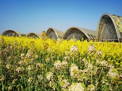 -中国天府农业博览园