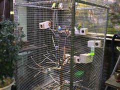 -向阳庄烧烤店(望京西园店)