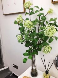 -时光海科学美肤中心
