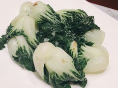 小白菜-镛记酒家