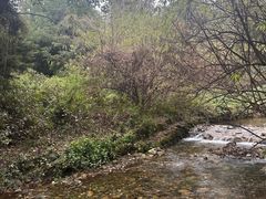 -苍山感通索道