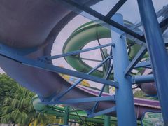 -重庆海昌加勒比海水世界