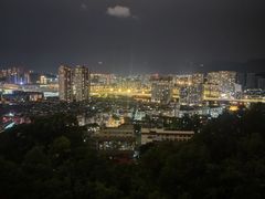 -金鸡山公园