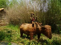 -溱湖国家湿地公园