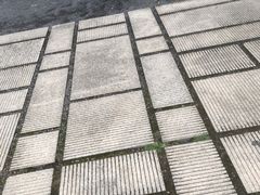 -安仁古镇