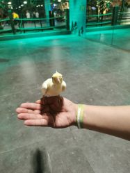 -酷嗒动物文化乐园(cutezoo西溪乐天城店)