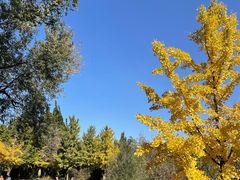 -北京西山国家森林公园