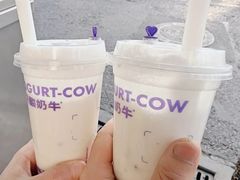 -一只酸奶牛(八一路店)