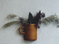 -Radar Coffee(思南路店)