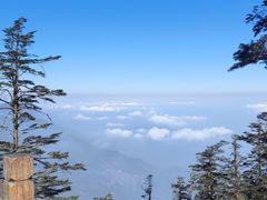 -瓦屋山景区