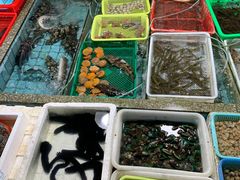 -霞涌市场海鲜摆卖区