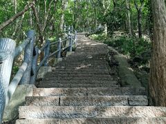 -紫金山山顶公园