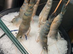 -凤园椰珍·椰子鸡火锅(番禺奥园广场店)