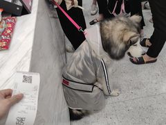 -茶百道(义乌之心店)