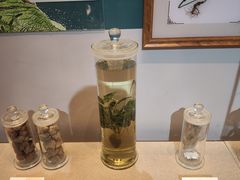 -天津自然博物馆