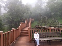 -老秃顶草原景区