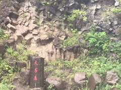 -望天鹅景区
