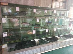 水产区-祈胜邨•顺德鱼生•顺德菜(容桂店)