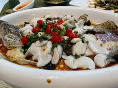 -陶缘一号·四季缘·老字号顺德菜·户外婚礼家宴(西滘店)