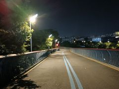 -飞凤山奥体公园
