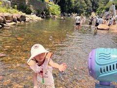 -北仑森林植物园