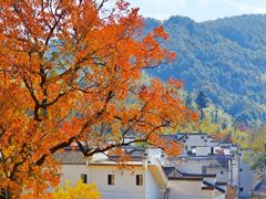 -塔川景区