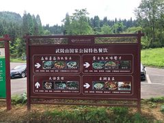 -武陵山森林公园