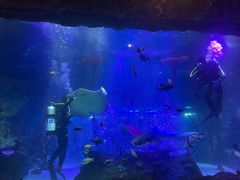 -沈阳海洋探索中心