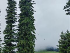 -新疆那拉提国家旅游度假区